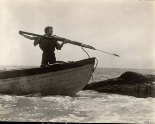 Research image preview: Harpooner2
