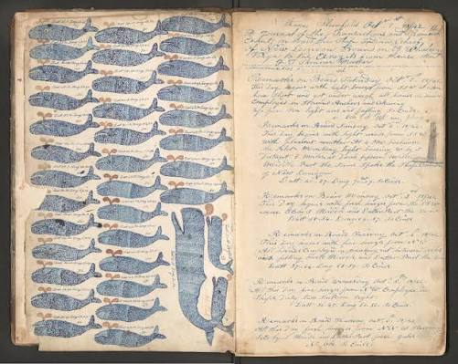 Historical archive illustration: WhalingLogs.jpg