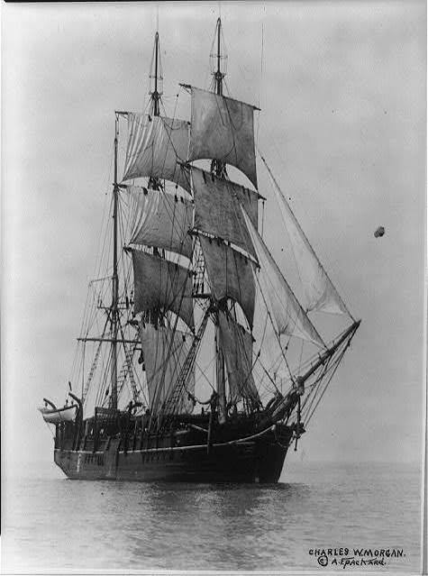 Research image preview: whalingship3